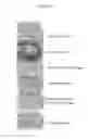Fig. 03 - Antimicrobial compositions and related methods of use