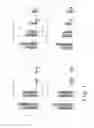 Fig. 02 - COMPOSITION FOR IMPROVING FLAVOR OF AND INHIBITING GROWTH OF PATHOGENIC BACTERIA IN POULTRY