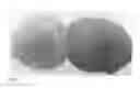 Fig. 02 - CREAMER COMPOSITIONS AND USES THEREOF