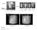 Fig. 03 - CREAMER COMPOSITIONS AND USES THEREOF