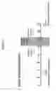 Fig. 04 - Multi-component food product