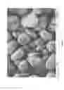 Fig. 13 - POTATO PRODUCTS WITH ENHANCED RESISTANT STARCH CONTENT AND MODERATED GLYCEMIC RESPONSE AND METHODS THEREOF