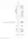 Fig. 18 - High-Purity Steviol Glycosides