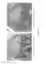 Fig. 08 - Method and composition comprising hydrolyzed starch