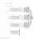 Fig. 02 - Drinking water formulation and method and article relating to same