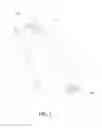 Fig. 06 - Food forming and shaping device