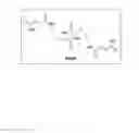 Fig. 02 - Nicotine—diketopiperazine microparticle formulations and methods of making the same