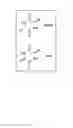 Fig. 04 - Nicotine—diketopiperazine microparticle formulations and methods of making the same
