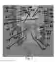 Fig. 04 - Multiple chamber vaporizer