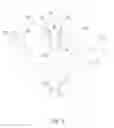 Fig. 06 - Brassiere with anchored under supports