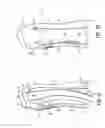 Fig. 04 - REPLACEABLE/CONFIGURABLE HEATING SYSTEM FOR APPAREL