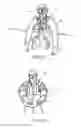 Fig. 14 - Garment having extensible sleeves