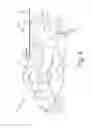 Fig. 05 - Protective glove with a floating cuff