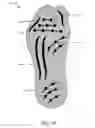 Fig. 16 - PROTECTIVE FOOTWEAR