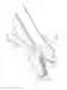 Fig. 02 - SEALING STRAP
