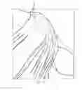 Fig. 07 - Second skin swaddle