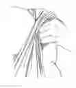 Fig. 08 - Second skin swaddle