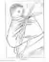 Fig. 17 - Second skin swaddle