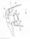 Fig. 14 - Lid featuring improved splash and spill resistance and ease of flow
