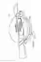 Fig. 07 - Apparatus for converting hinged-lid cooking grills for cooking pizza