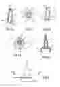 Fig. 03 - Electrical food preparation device comprising a working tool that removably engages on a drive mechanism