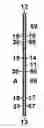 Fig. 01 - Flexible sealing member