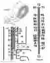 Fig. 04 - Flexible sealing member