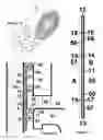 Fig. 05 - Flexible sealing member