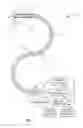 Fig. 02 - Method and system for assisting an operator in endoscopic navigation