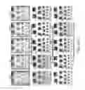 Fig. 31 - VERGENCE WEIGHTING SYSTEMS AND METHODS FOR TREATMENT OF PRESBYOPIA AND OTHER VISION CONDITIONS