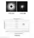 Fig. 55 - VERGENCE WEIGHTING SYSTEMS AND METHODS FOR TREATMENT OF PRESBYOPIA AND OTHER VISION CONDITIONS