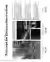 Fig. 71 - VERGENCE WEIGHTING SYSTEMS AND METHODS FOR TREATMENT OF PRESBYOPIA AND OTHER VISION CONDITIONS