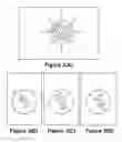 Fig. 03 - Effective acuity and refraction targets