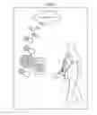 Fig. 06 - INGESTIBLE SENSOR, SENSING METHOD, AND FOOD