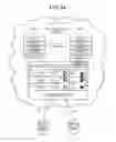 Fig. 35 - INGESTIBLE SENSOR, SENSING METHOD, AND FOOD