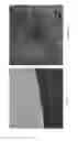 Fig. 05 - Nanocellulose and Nanocellulose Composites as Substrates for Conformal Bioelectronics