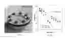 Fig. 08 - Nanocellulose and Nanocellulose Composites as Substrates for Conformal Bioelectronics