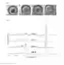 Fig. 02 - Method of characterizing wounds with Raman spectroscopy