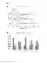Fig. 16 - Method of characterizing wounds with Raman spectroscopy
