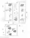 Fig. 02 - Method and apparatus for the measurement of autonomic function for the diagnosis and validation of patient treatments and outcomes