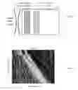 Fig. 04 - Sparse tracking in acoustic radiation force impulse imaging