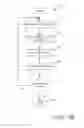 Fig. 80 - BIOPSY NEEDLE ASSEMBLY