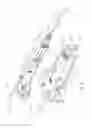 Fig. 05 - Biopsy device tissue sample holder with bulk chamber and pathology chamber
