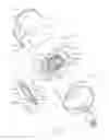 Fig. 14 - Biopsy device tissue sample holder with bulk chamber and pathology chamber