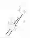 Fig. 04 - PNEUMOPERITONEUM DEVICE