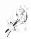 Fig. 11 - PNEUMOPERITONEUM DEVICE