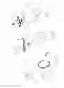 Fig. 16 - PNEUMOPERITONEUM DEVICE