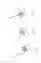 Fig. 24 - PNEUMOPERITONEUM DEVICE