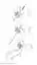 Fig. 27 - PNEUMOPERITONEUM DEVICE