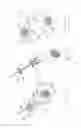 Fig. 29 - PNEUMOPERITONEUM DEVICE